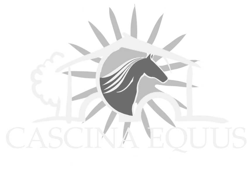 Logo chiaro scala di grigi