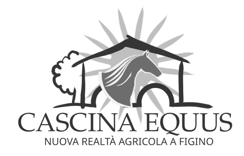 Logo scuro scala di grigi