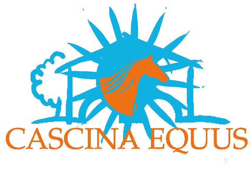 Logo due colori sfondo trasparente