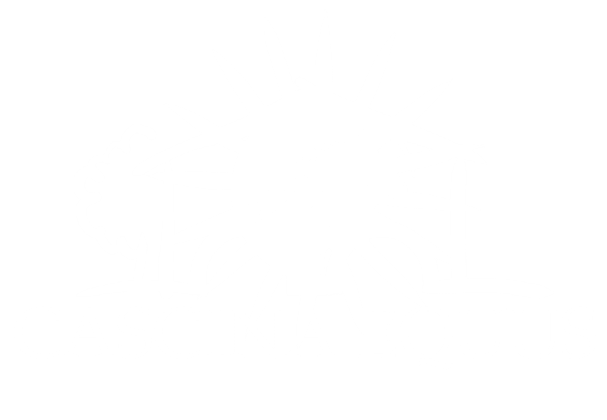Logo Monocromatico Bianco Sfondo Trasparente