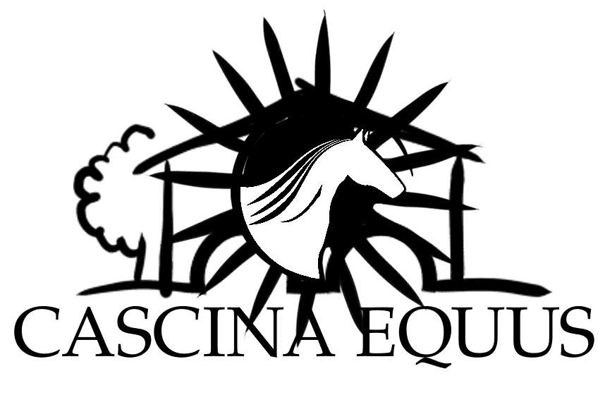 Logo Monocromatico Nero Sfondo Trasparente